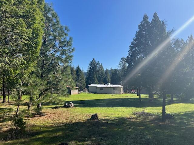 3675 Pleasant Creek Road Rogue River, OR 97537 - Photo 5 of 18 IMG_8118