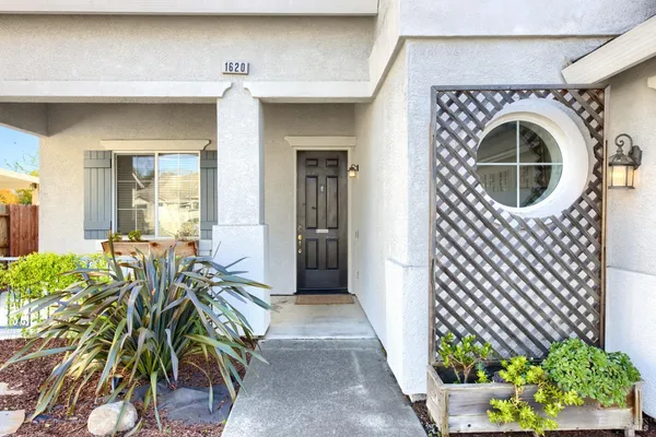 a view of potted plants in front of door
