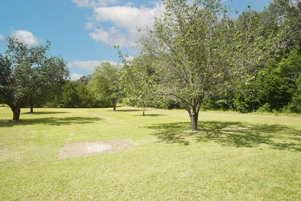 1371 Black River Road Barnwell, SC 29812 - Photo 3 of 19 Gallery Image 3