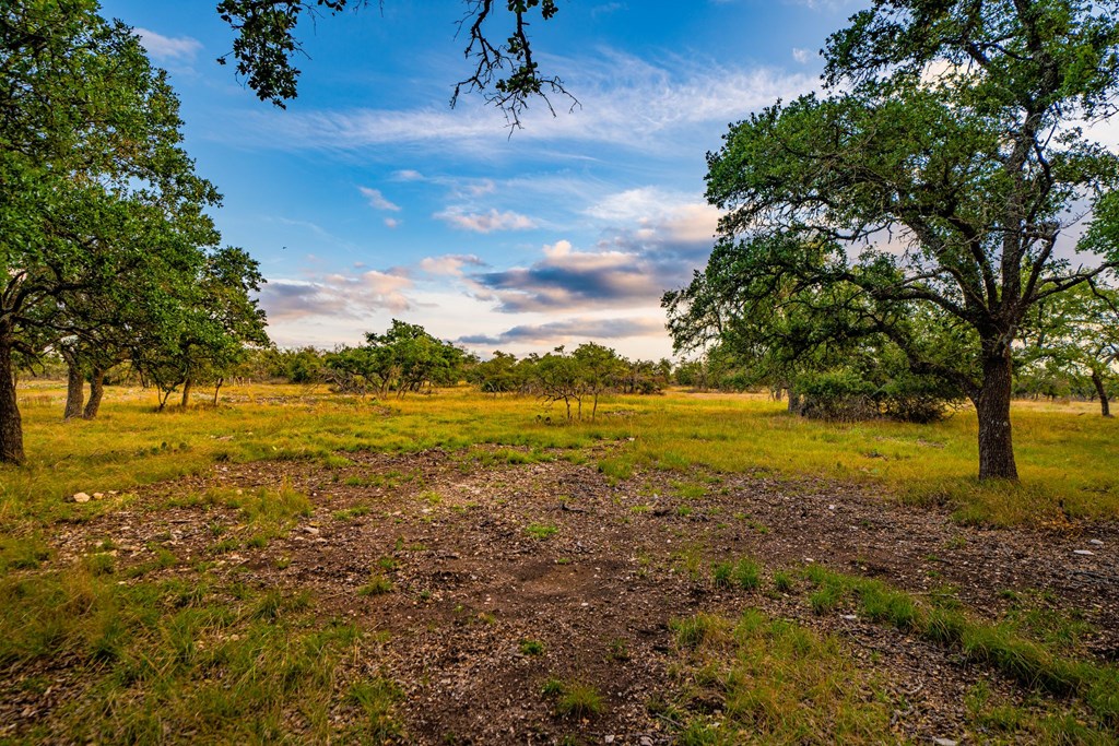 Lot 57 Reservation Road, Unit 57 Harper, TX 78631 - Photo 6 of 6 Gallery Image 6