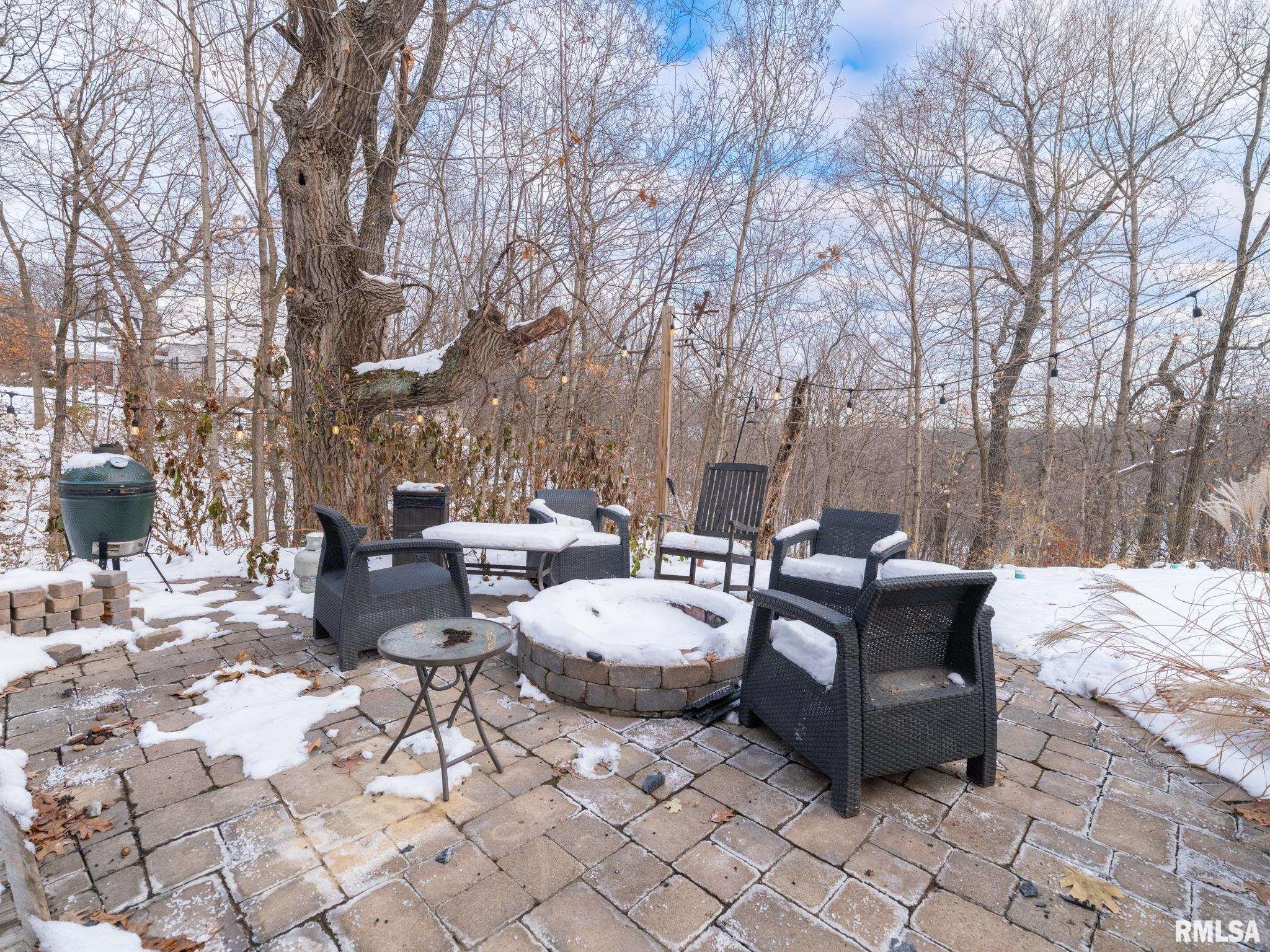 12052 North Hickory Grove Road Dunlap, IL 61525 - Photo 2 of 89