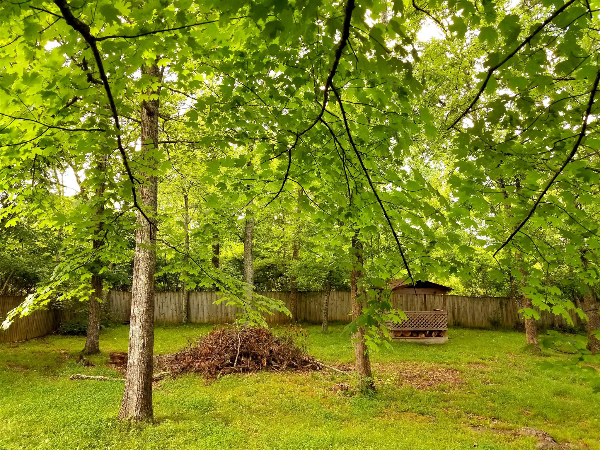 0 Singing Springs Road Mount Juliet, TN 37122 - Photo 6 of 6 Gallery Image 6