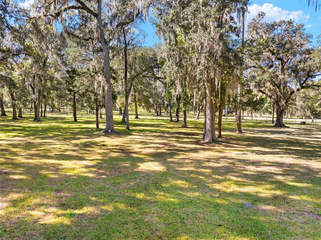23245 Croom Road Brooksville, FL 34601 - Photo 66 of 79 Gallery Image 66