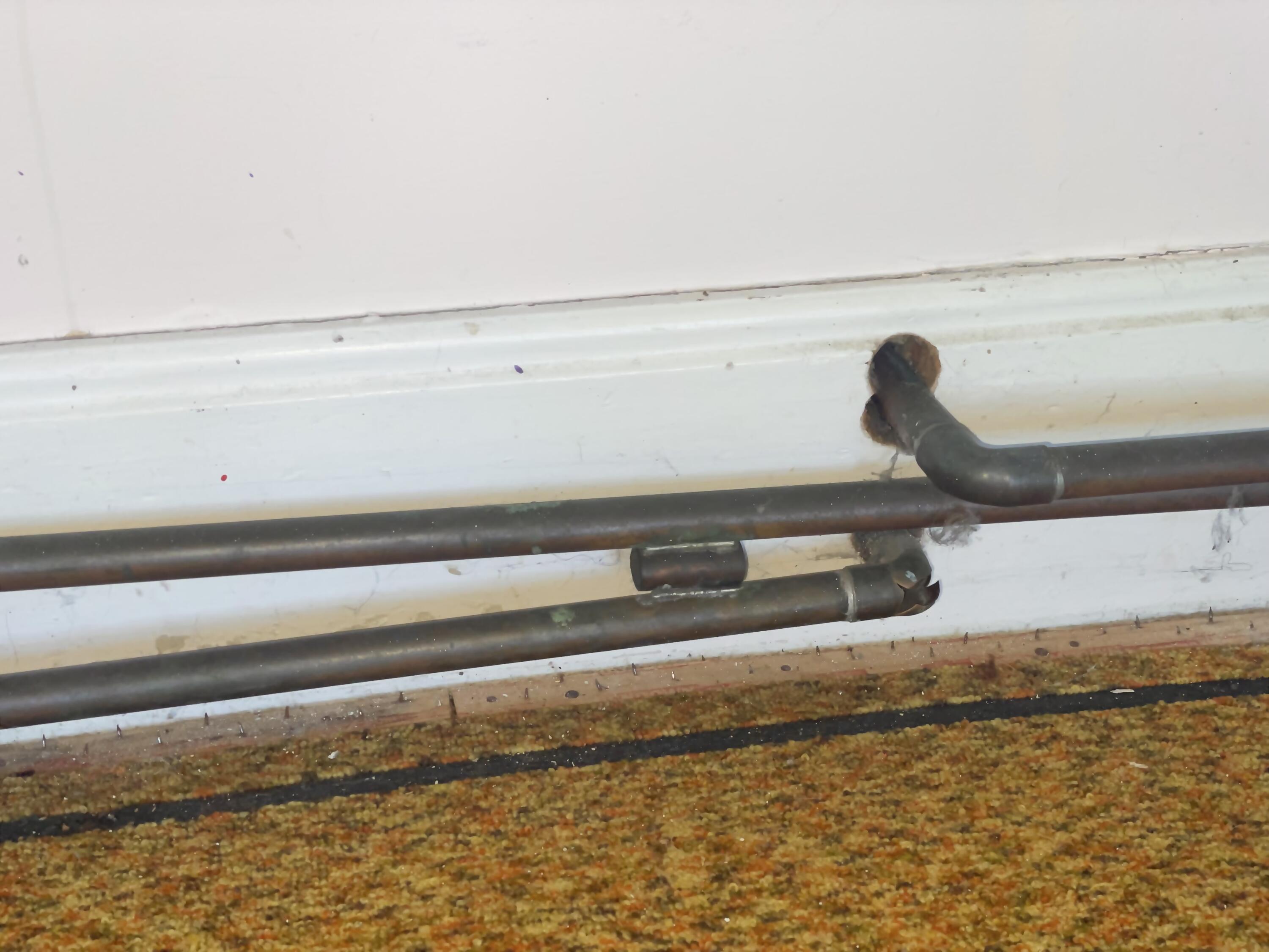 69 Mill Street Harrington, ME 04643 - Photo 27 of 65 IMG_1578