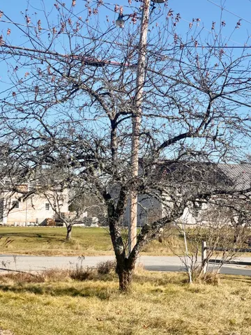 $130,000 | 69 Mill Street, Harrington, ME 04643