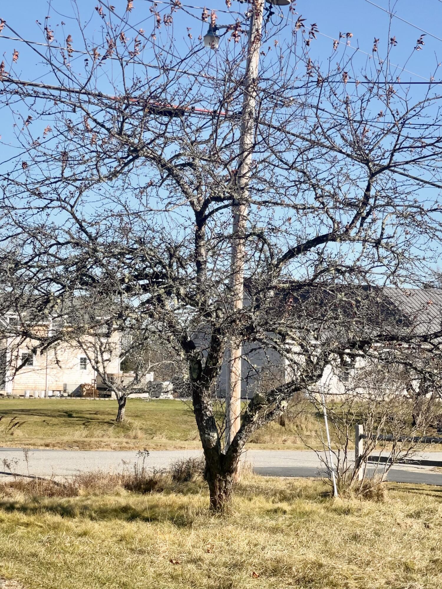 69 Mill Street Harrington, ME 04643 - Photo 6 of 65 IMG_1621