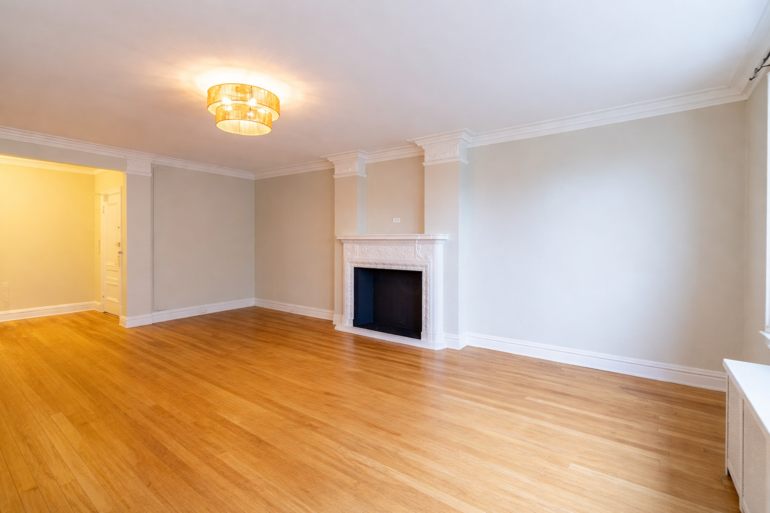 1765 East 55th Street, Unit E1 Chicago, IL 60637 - Photo 8 of 18 a view of empty room with wooden floor and fireplace