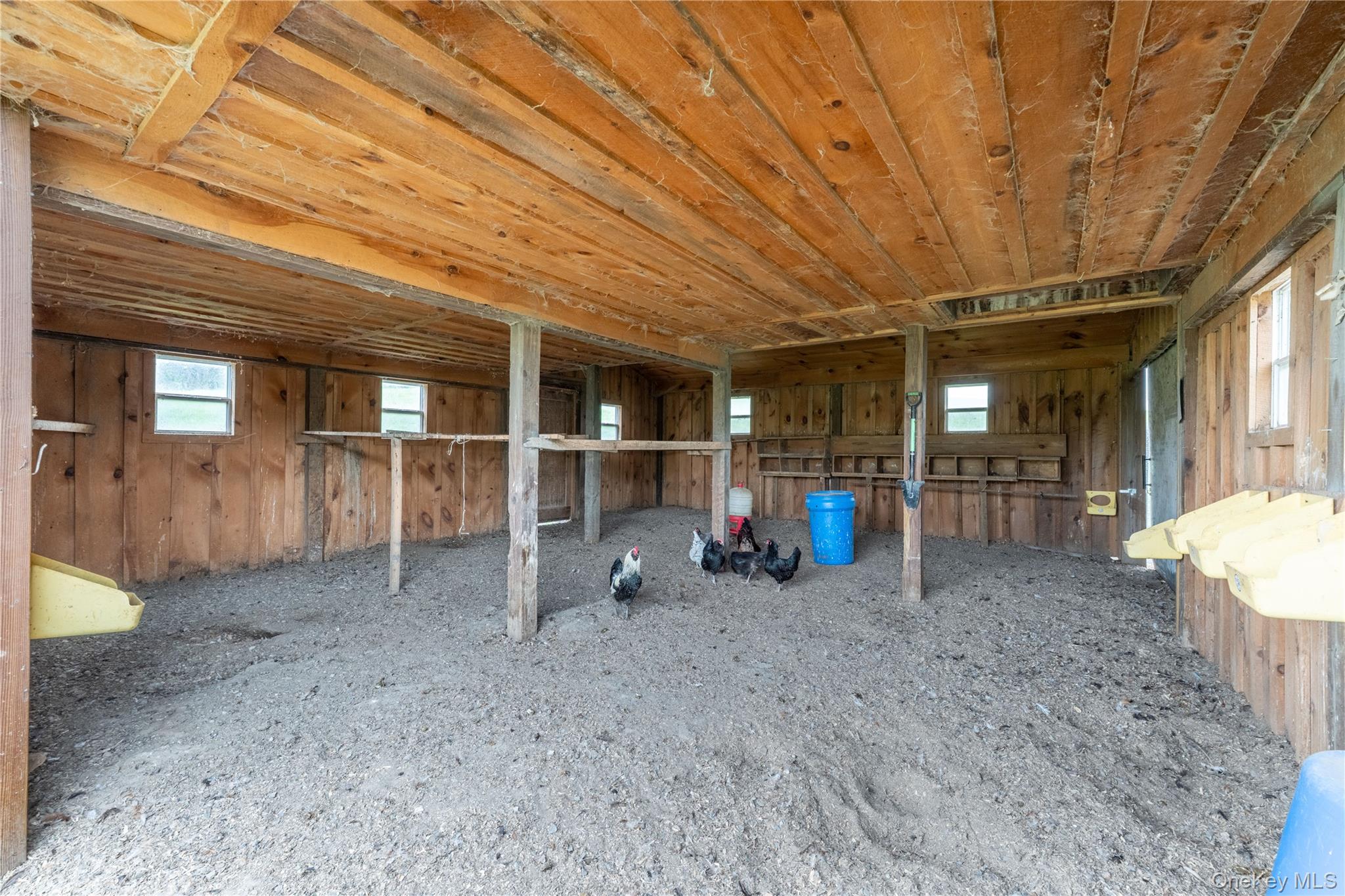 41 Diddell Road Wappingers Falls, NY 12590 - Photo 32 of 44 Interior Red Barn 725 sq ft. Say "Hello" to the girls!