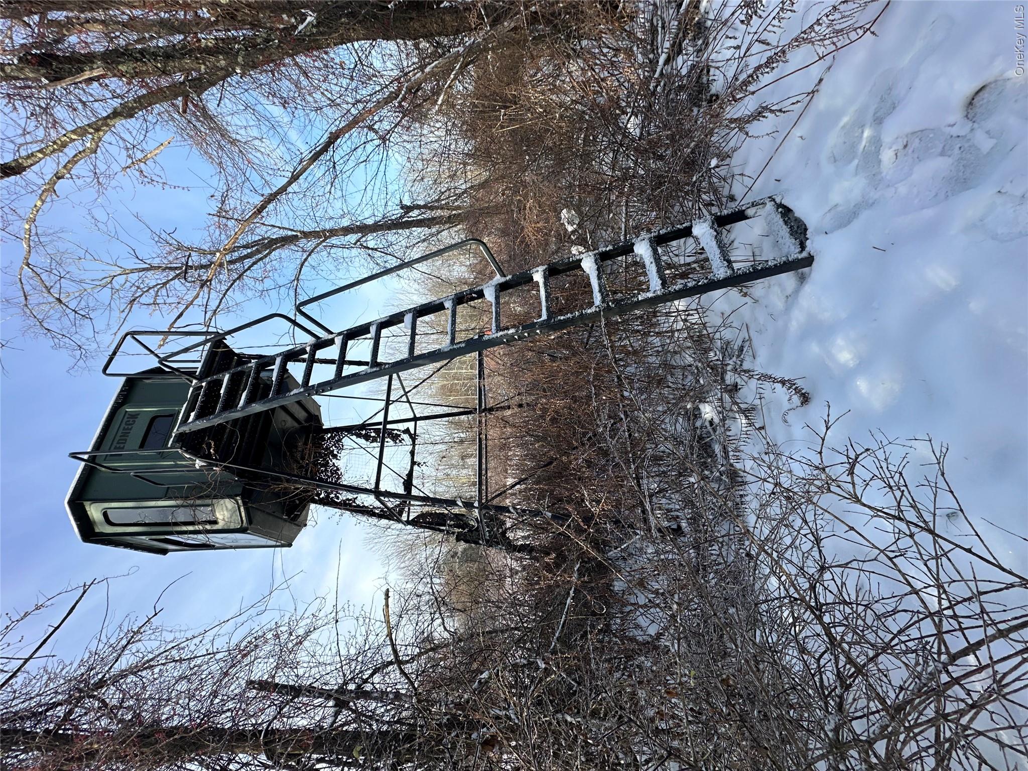 41 Diddell Road Wappingers Falls, NY 12590 - Photo 42 of 44 Deer Stand for the hunting enthusiasts
