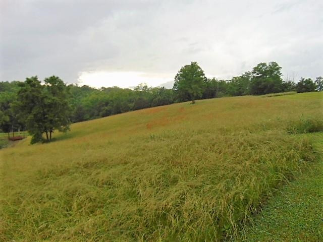 3865 Fortner Ridge Road Corinth, KY 41010 - Photo 6 of 22 Photo 6