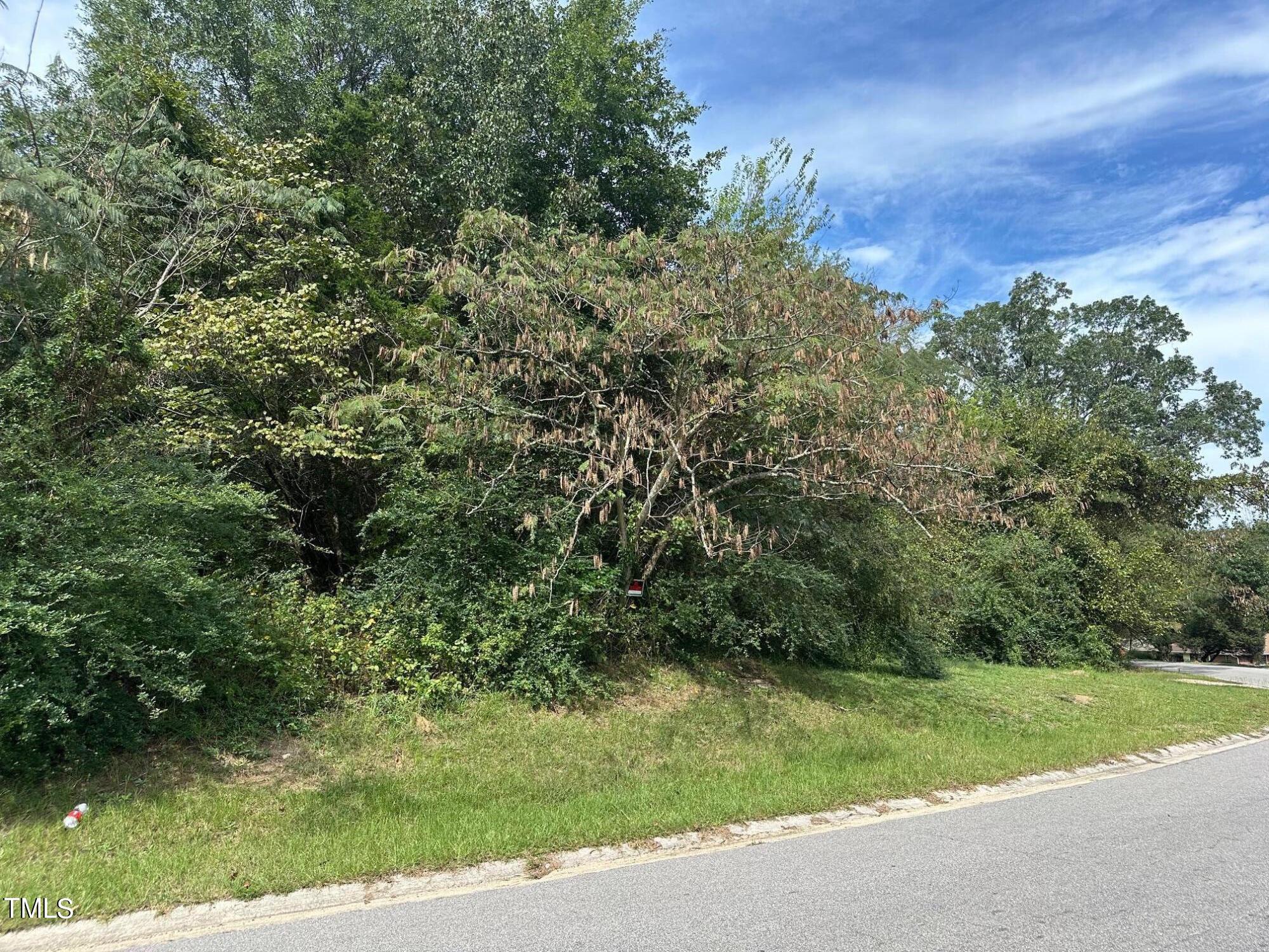 4209 James Road Raleigh, NC 27616 - Photo 2 of 6 a view of a yard with a tree