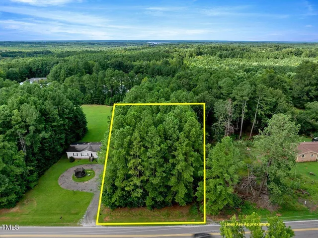 a view of a yard with plants
