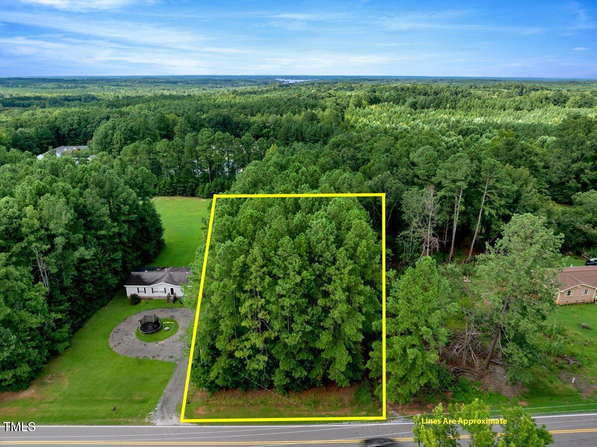 a view of a yard with plants
