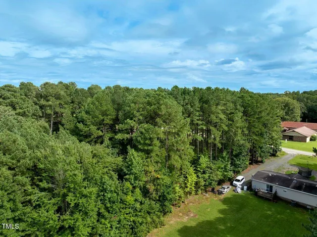 a view of a garden with lawn chairs