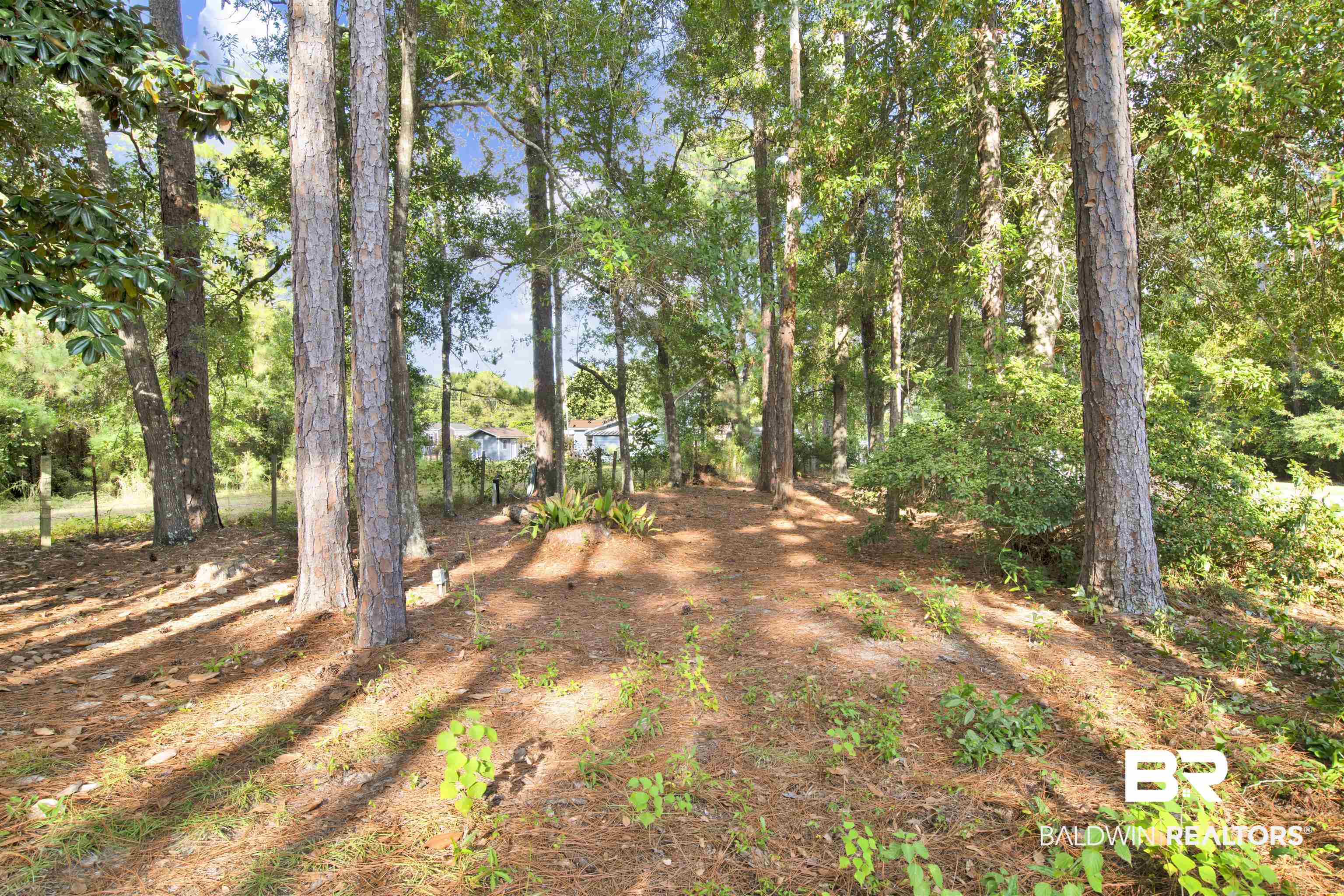 1216 Ridgewood Drive Lillian, AL 36549 - Photo 20 of 29 View of local wilderness
