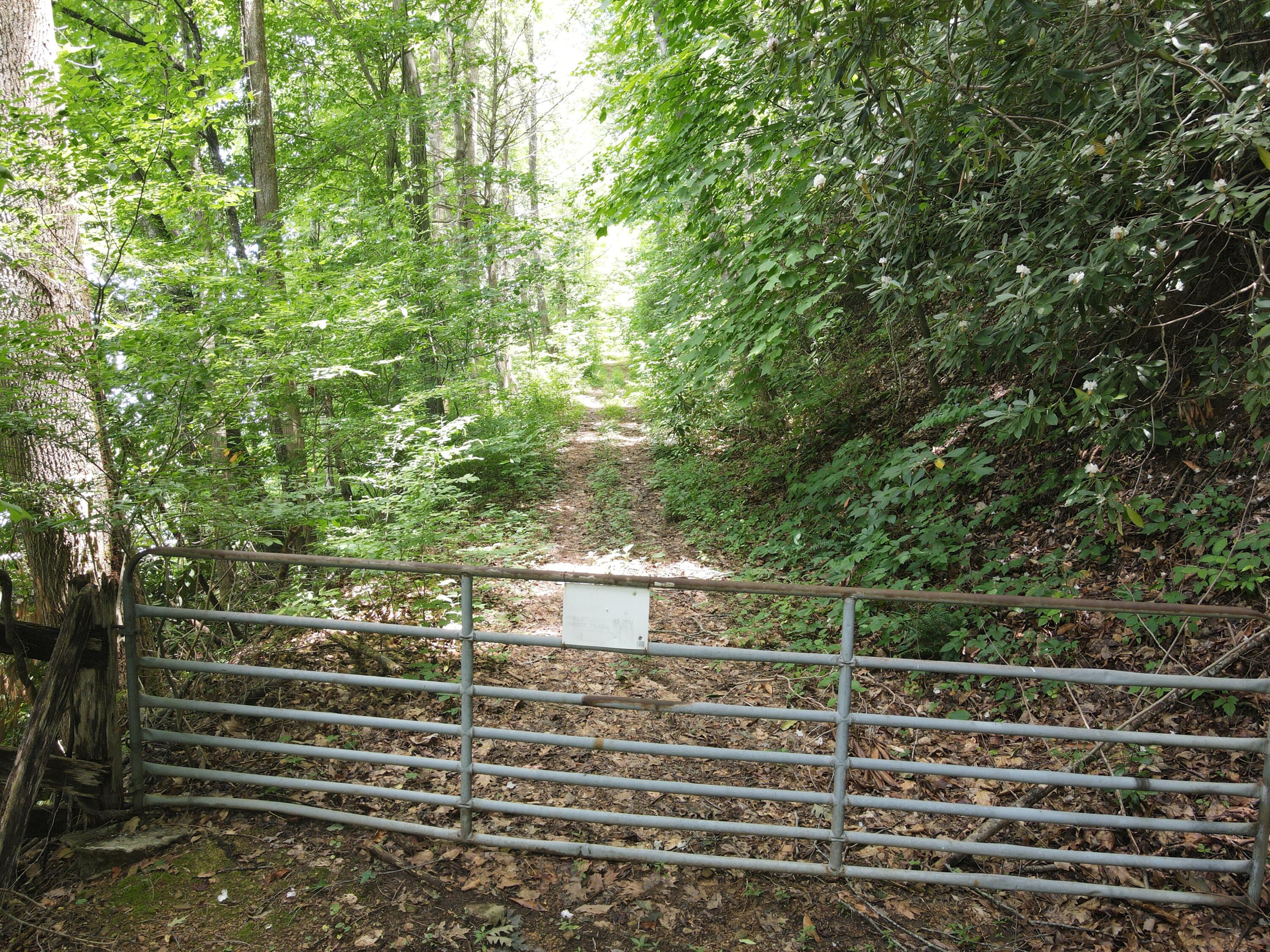 Tbd Old Hwy Road Erwin, TN 37650 - Photo 1 of 11 DJI_0362