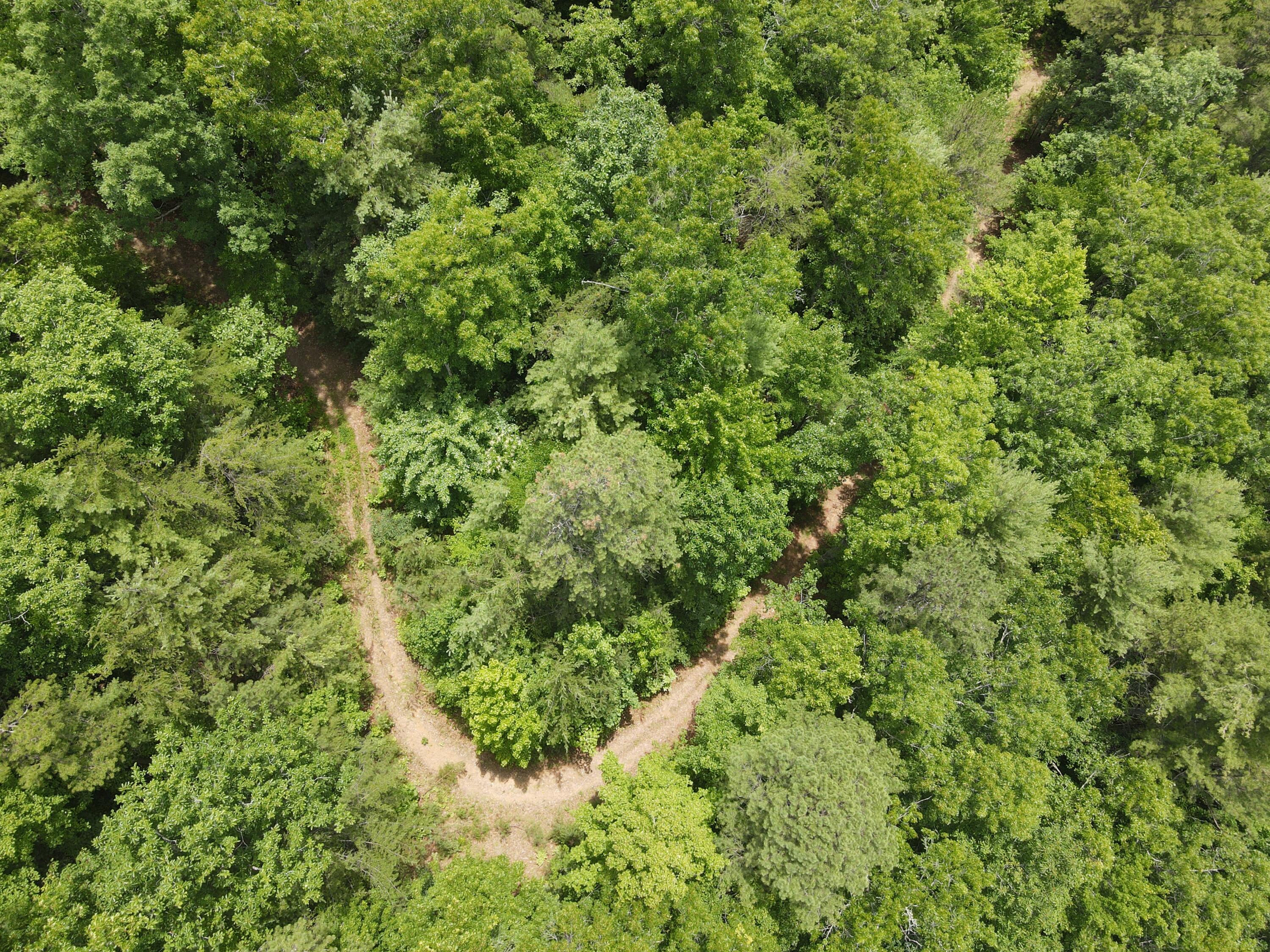 Tbd Old Hwy Road Erwin, TN 37650 - Photo 3 of 11 DJI_0364