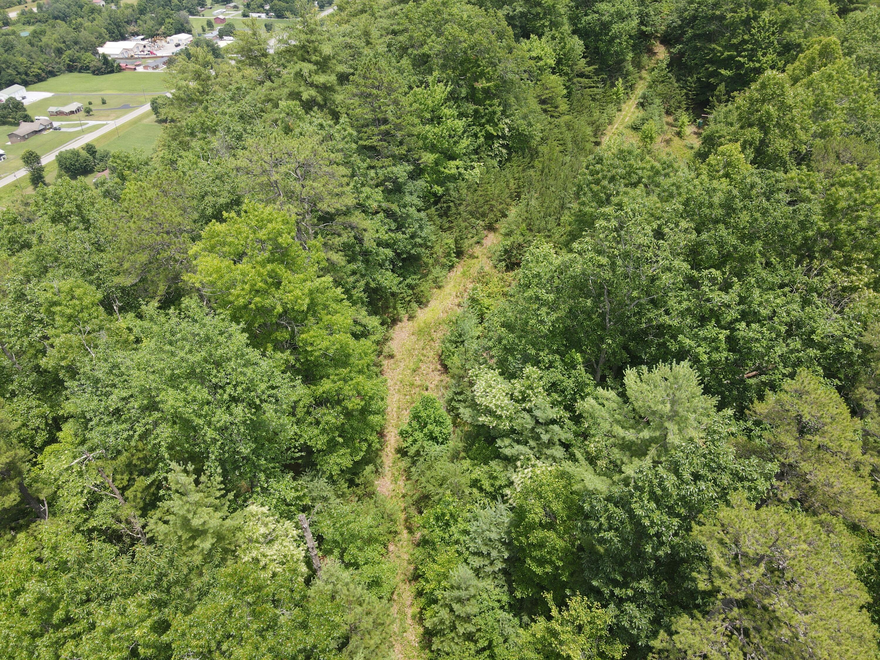 Tbd Old Hwy Road Erwin, TN 37650 - Photo 6 of 11 DJI_0367