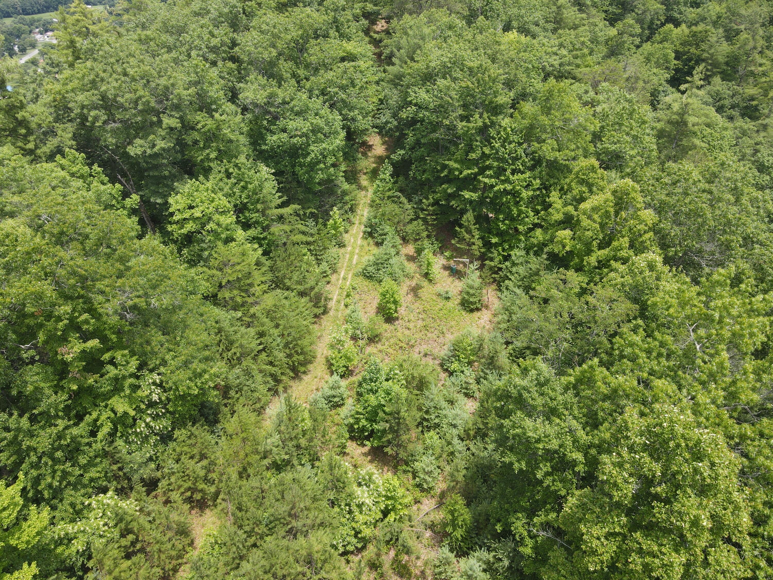 Tbd Old Hwy Road Erwin, TN 37650 - Photo 7 of 11 DJI_0368