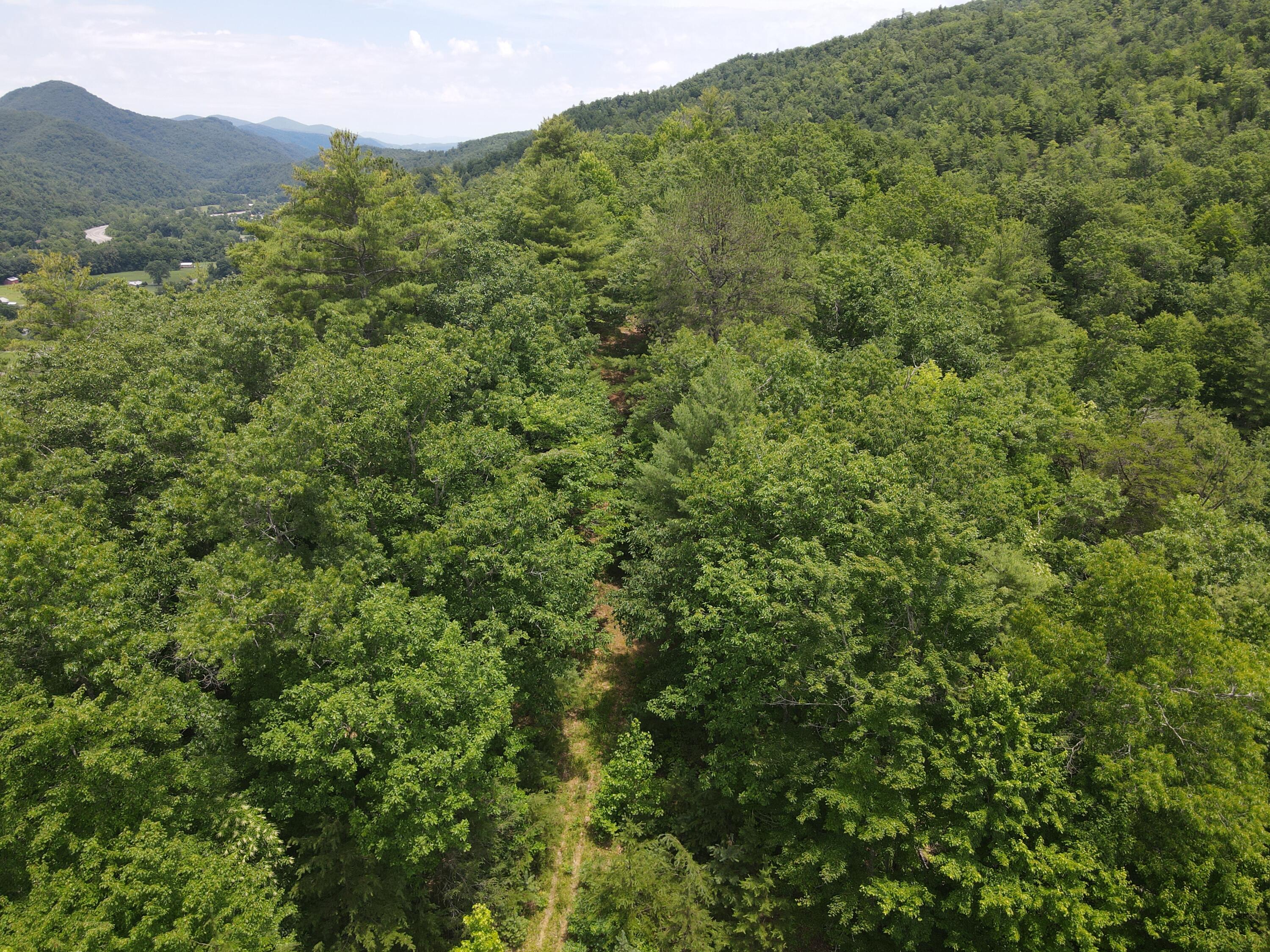 Tbd Old Hwy Road Erwin, TN 37650 - Photo 8 of 11 DJI_0369
