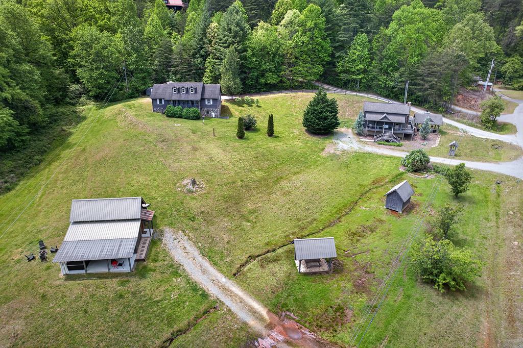353 Sunrise Road Blue Ridge, GA 30513 - Photo 2 of 101