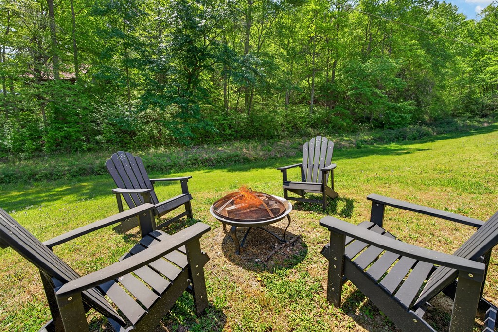 353 Sunrise Road Blue Ridge, GA 30513 - Photo 46 of 101