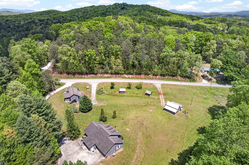 353 Sunrise Road Blue Ridge, GA 30513 - Photo 5 of 101