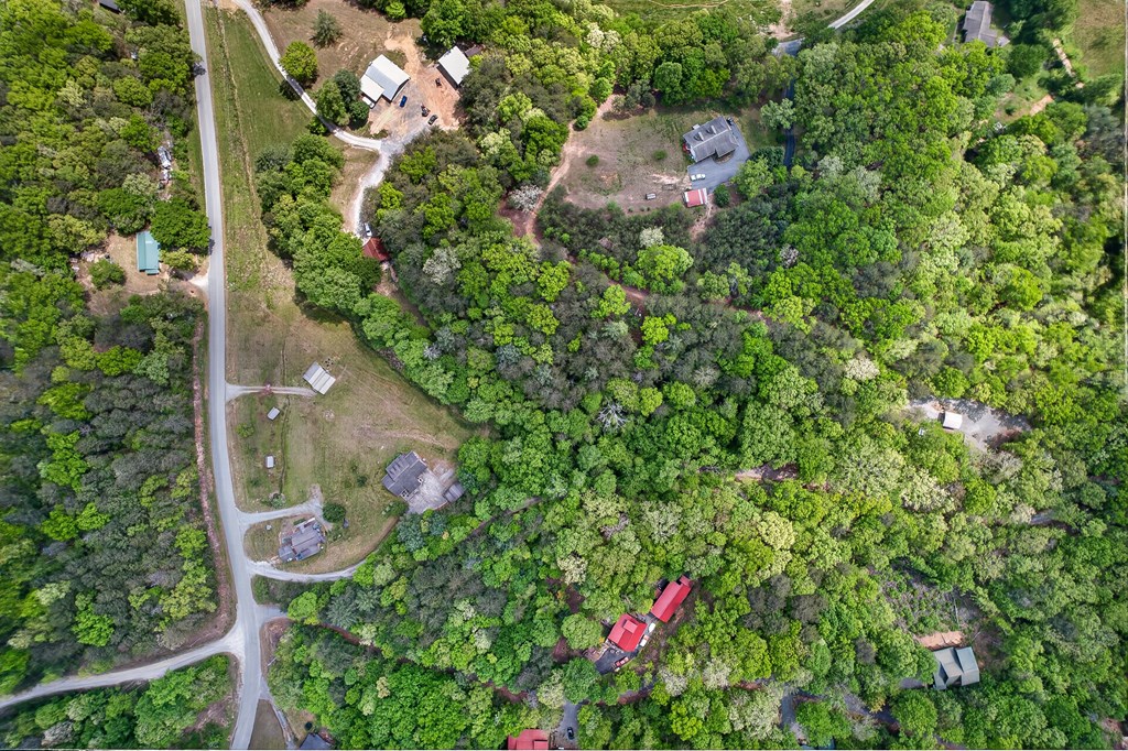 353 Sunrise Road Blue Ridge, GA 30513 - Photo 95 of 101