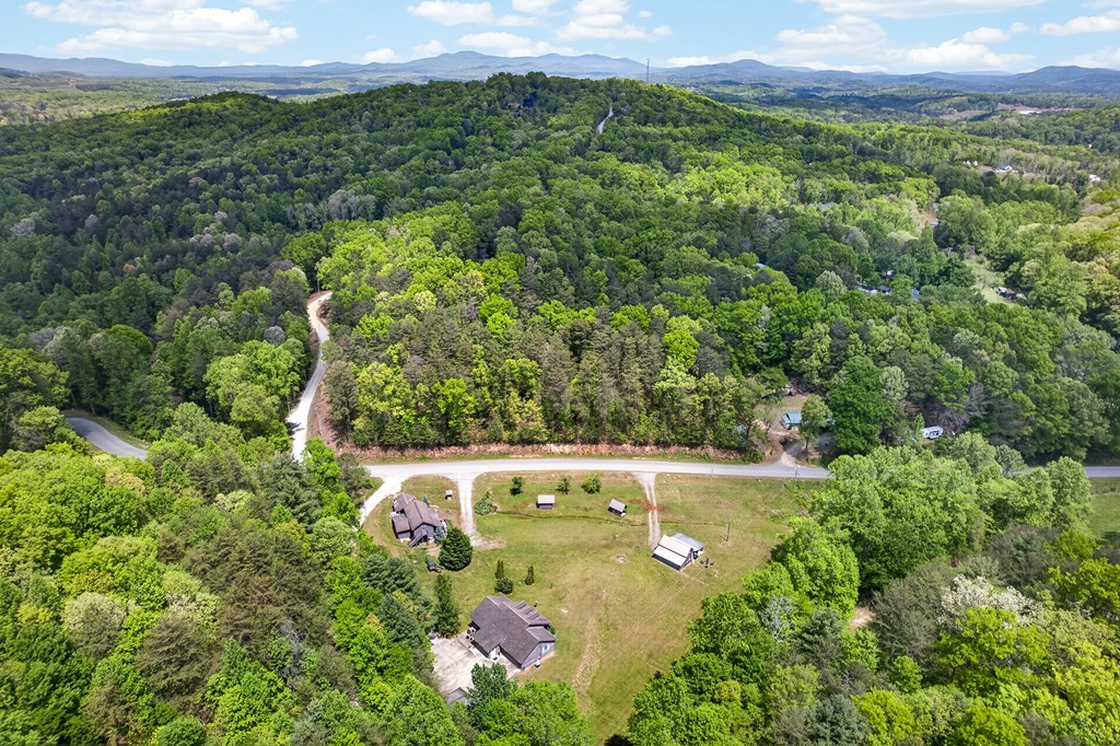 353 Sunrise Road Blue Ridge, GA 30513 - Photo 99 of 101