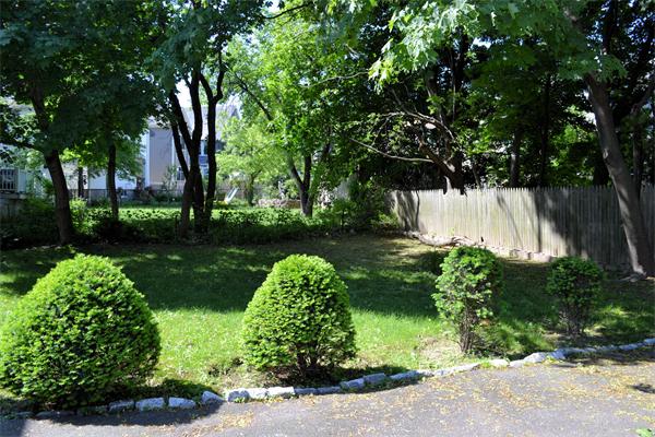11 Sunset Road Cambridge, MA 02138 - Photo 4 of 18 a view of a garden with a tree