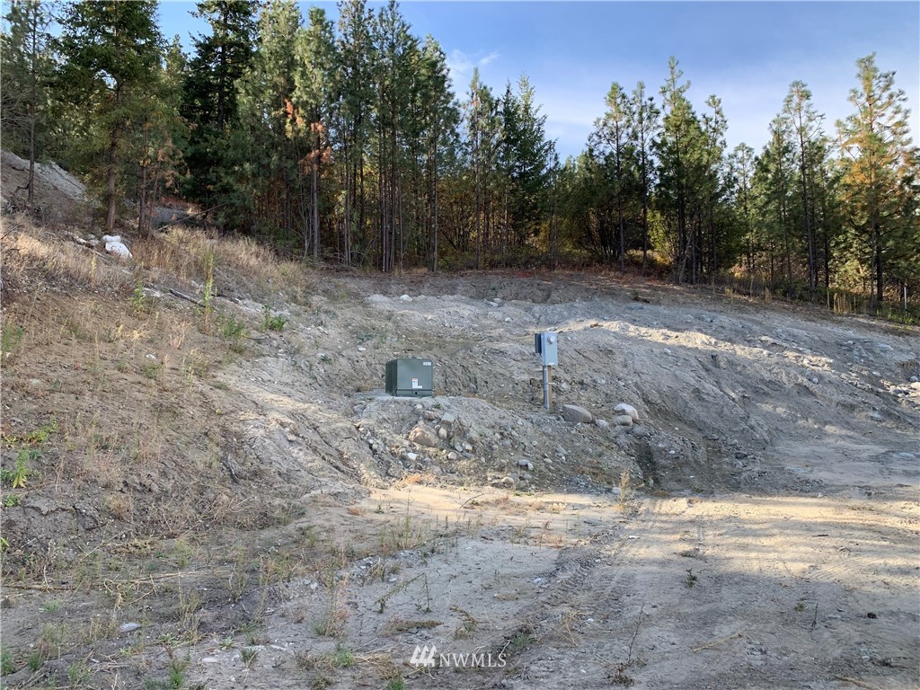 154 Gold Rush Ridge Road Oroville, WA 98844 - Photo 11 of 30 Gallery Image 11