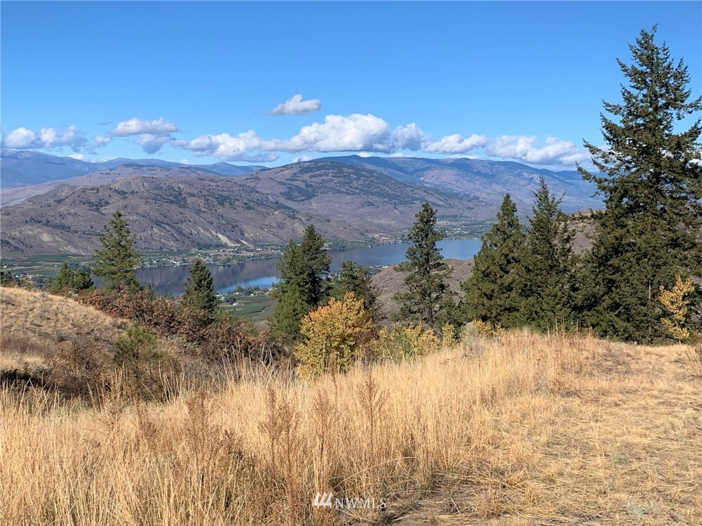 154 Gold Rush Ridge Road Oroville, WA 98844 - Photo 17 of 30 Gallery Image 17