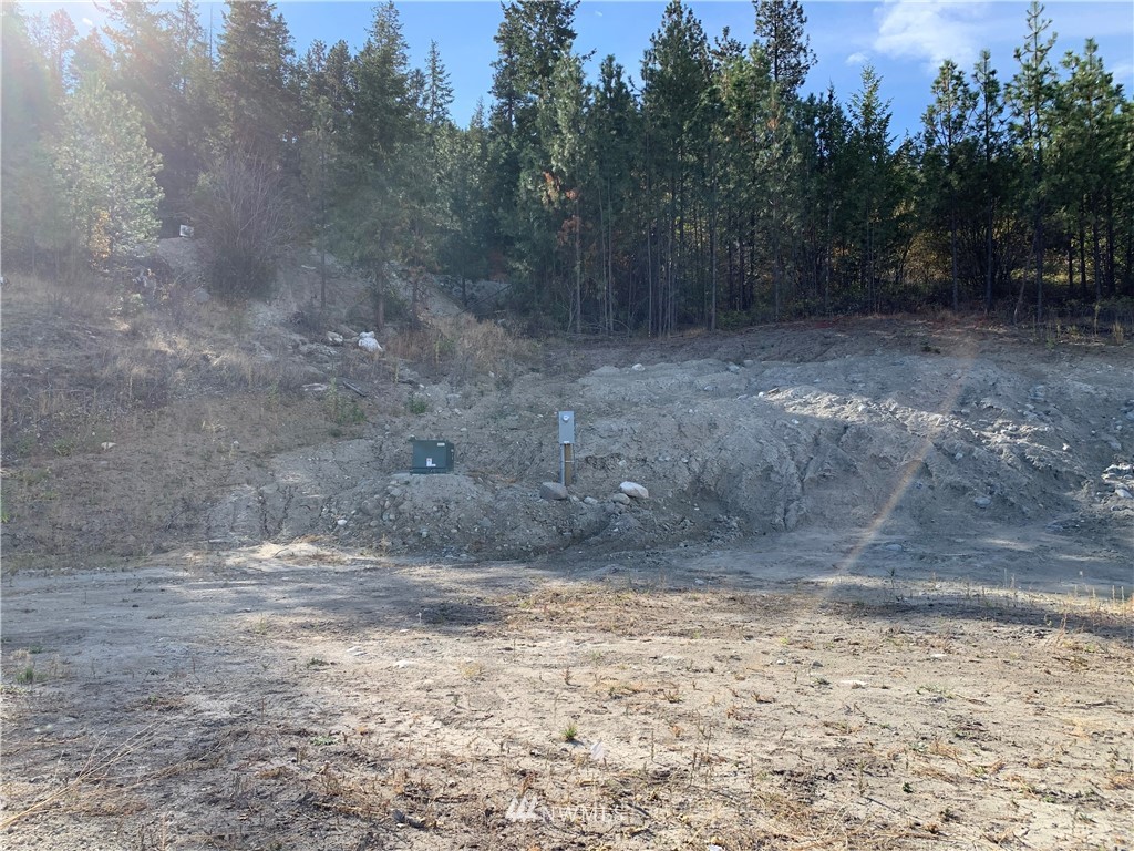 154 Gold Rush Ridge Road Oroville, WA 98844 - Photo 30 of 30 Gallery Image 30
