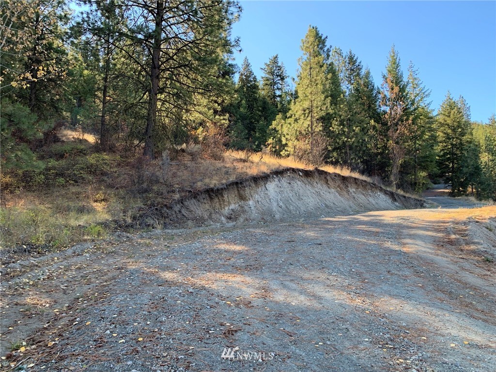 154 Gold Rush Ridge Road Oroville, WA 98844 - Photo 5 of 30 Gallery Image 5