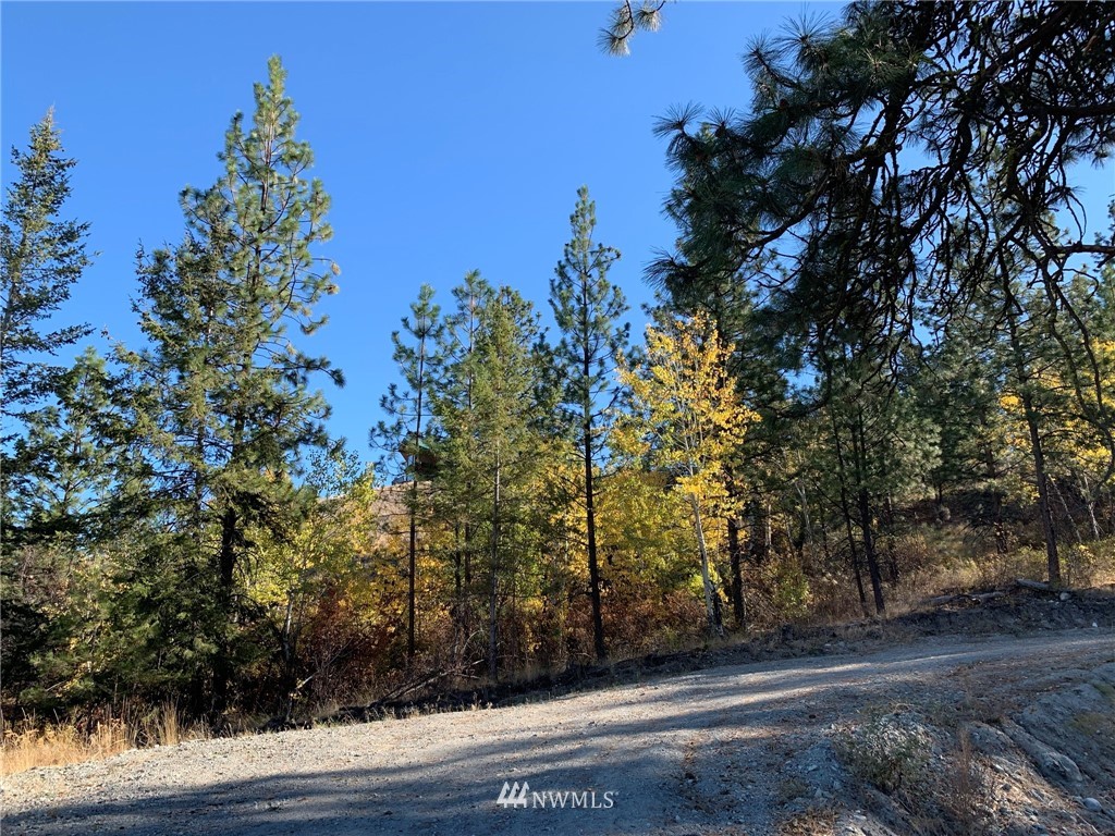154 Gold Rush Ridge Road Oroville, WA 98844 - Photo 7 of 30 Gallery Image 7