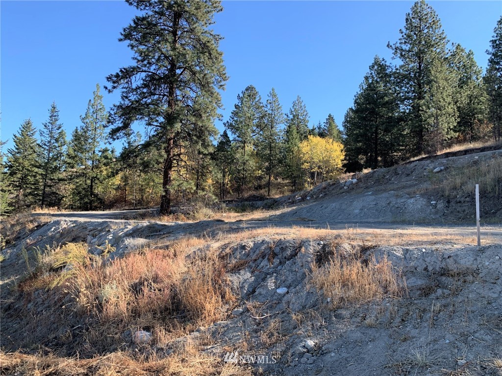 154 Gold Rush Ridge Road Oroville, WA 98844 - Photo 9 of 30 Gallery Image 9