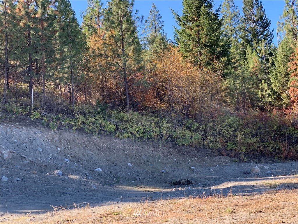154 Gold Rush Ridge Road Oroville, WA 98844 - Photo 10 of 30 Gallery Image 10