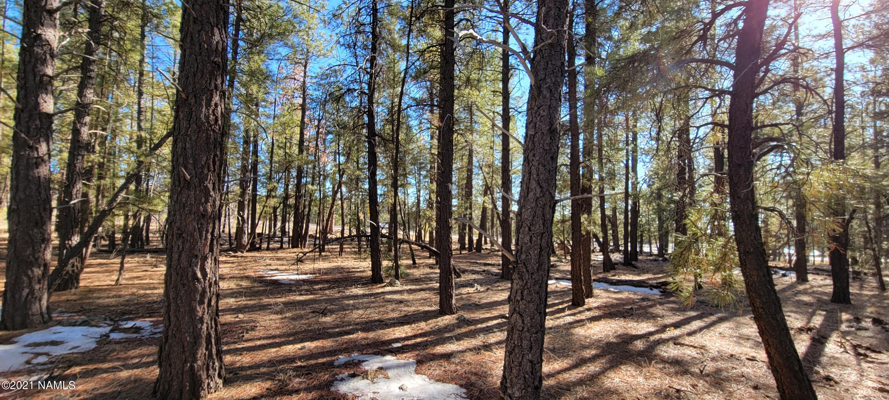 13682 East Old Rte 66 Parks, AZ 86018 - Photo 14 of 16 20210226_154706