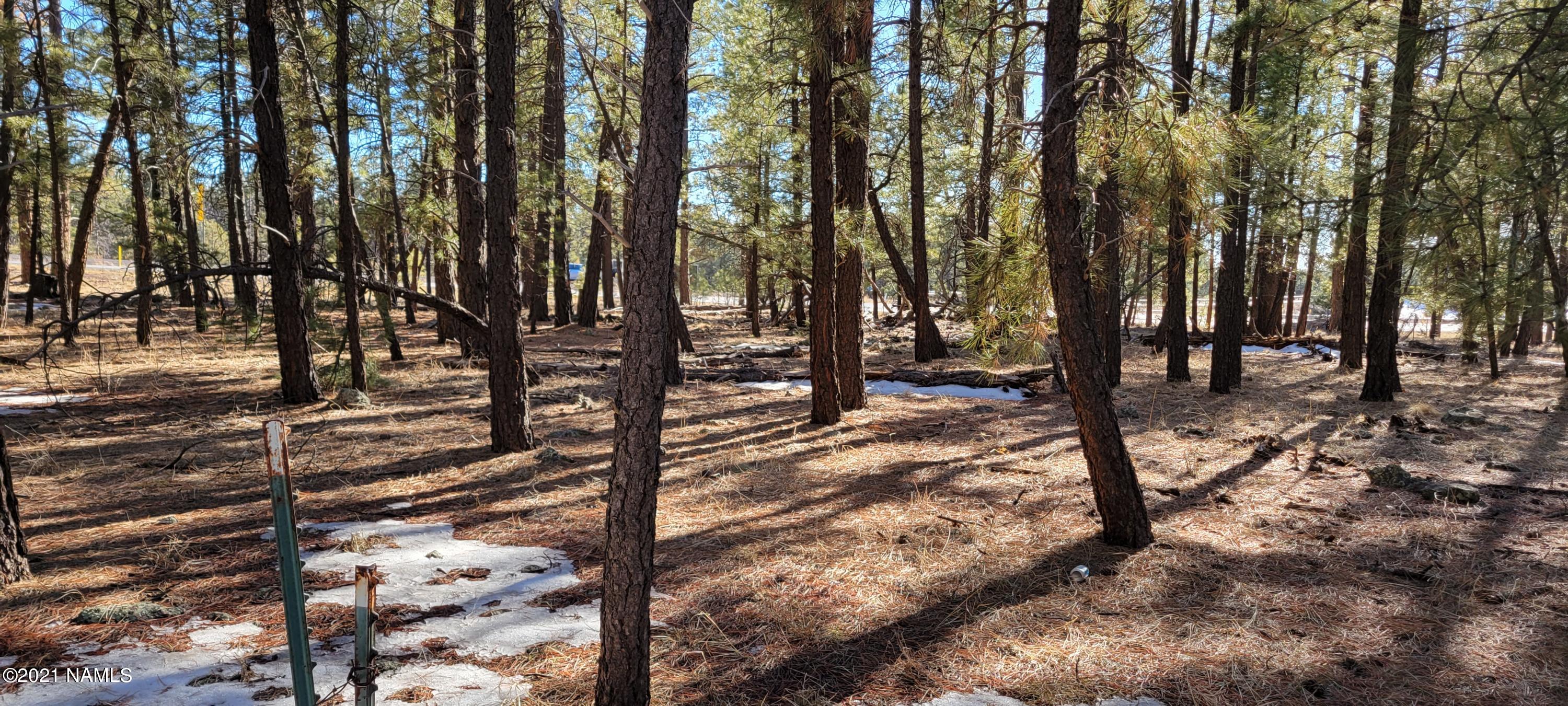 13682 East Old Rte 66 Parks, AZ 86018 - Photo 15 of 16 20210226_154656