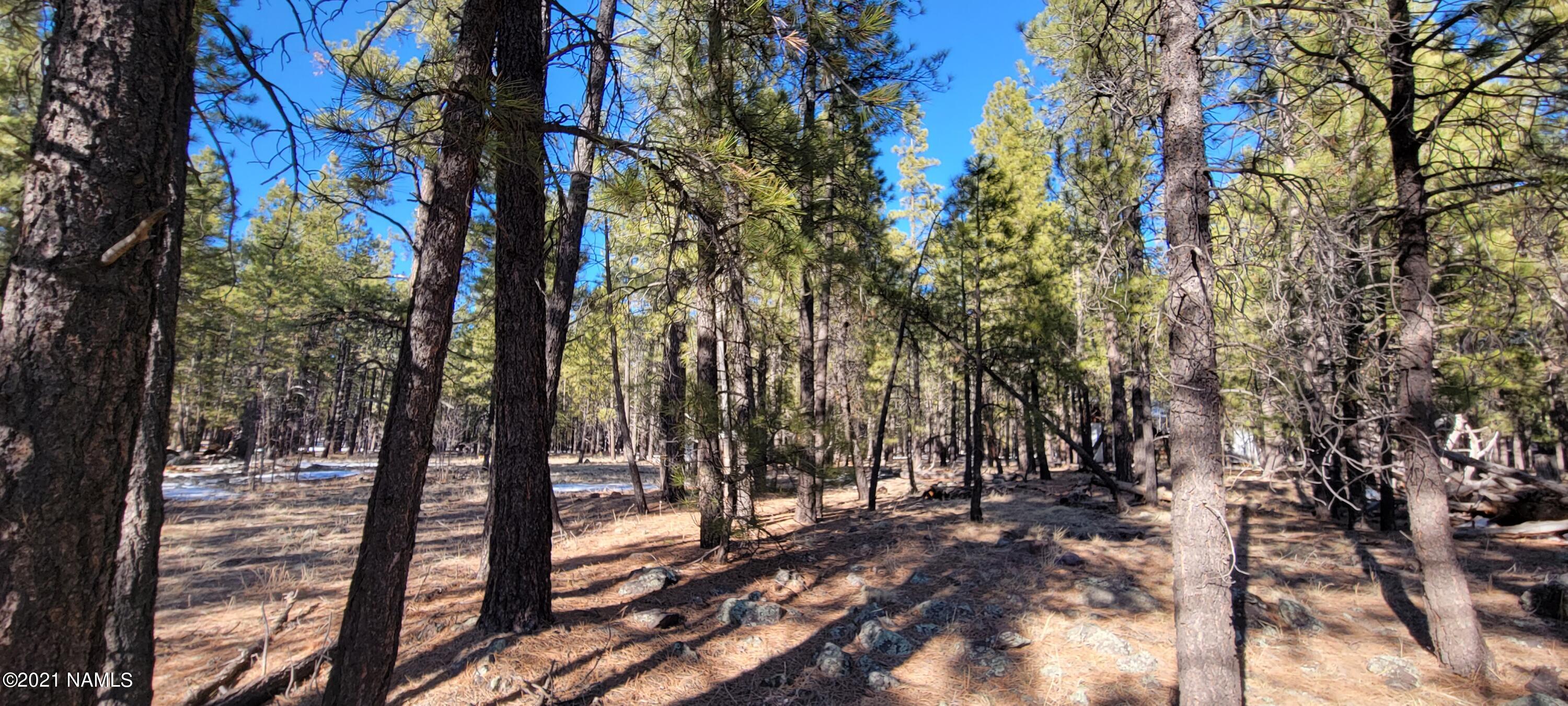 13682 East Old Rte 66 Parks, AZ 86018 - Photo 4 of 16 20210226_155033
