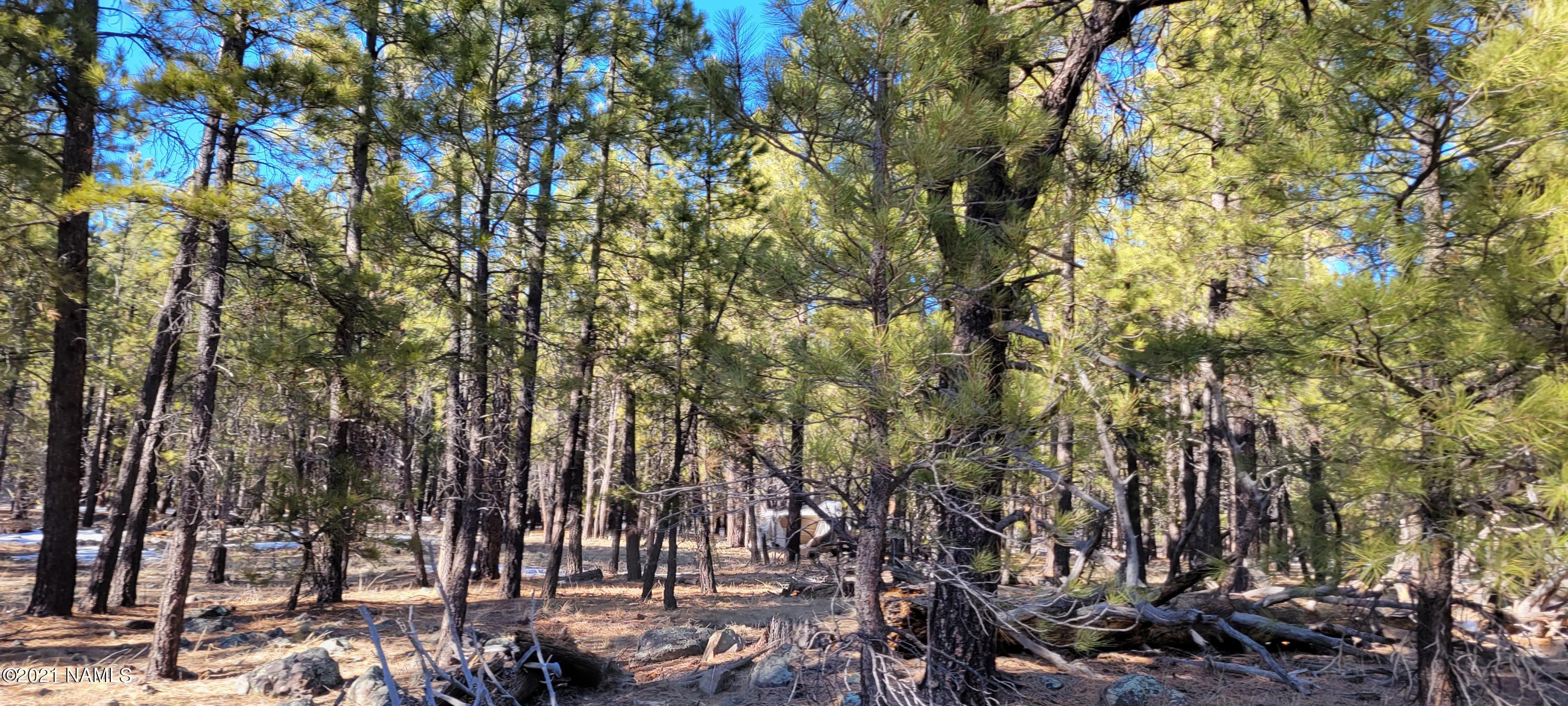 13682 East Old Rte 66 Parks, AZ 86018 - Photo 6 of 16 20210226_154931