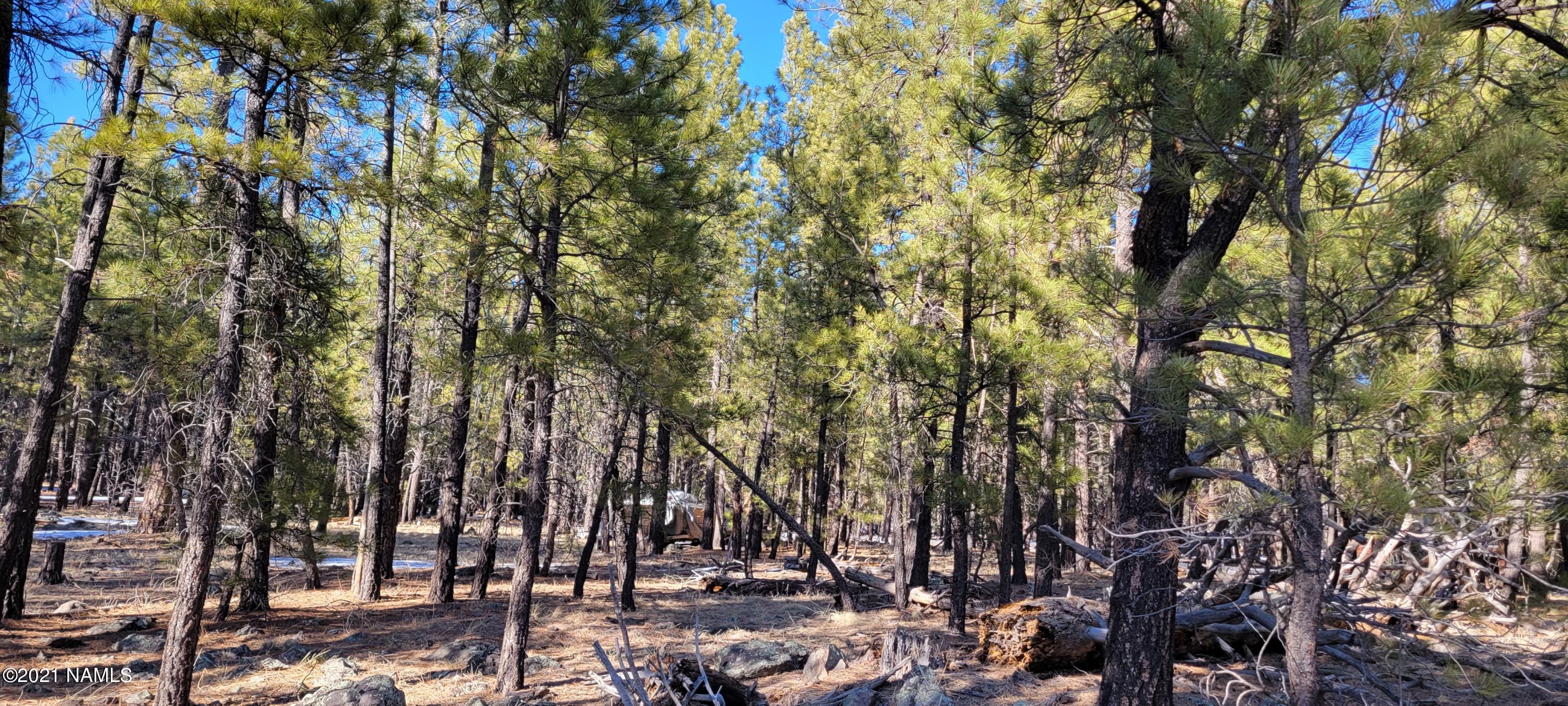 13682 East Old Rte 66 Parks, AZ 86018 - Photo 7 of 16 20210226_154944