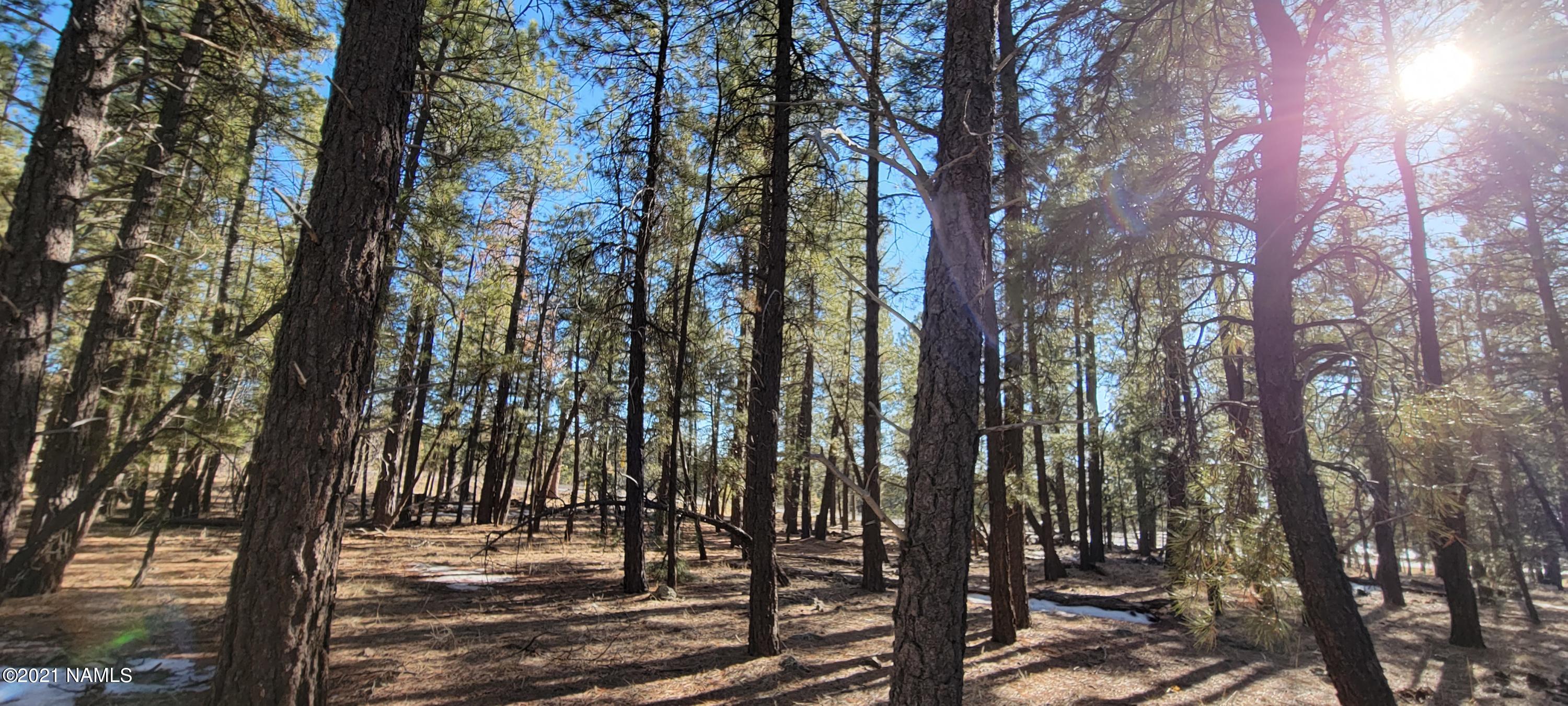 13682 East Old Rte 66 Parks, AZ 86018 - Photo 9 of 16 20210226_154710