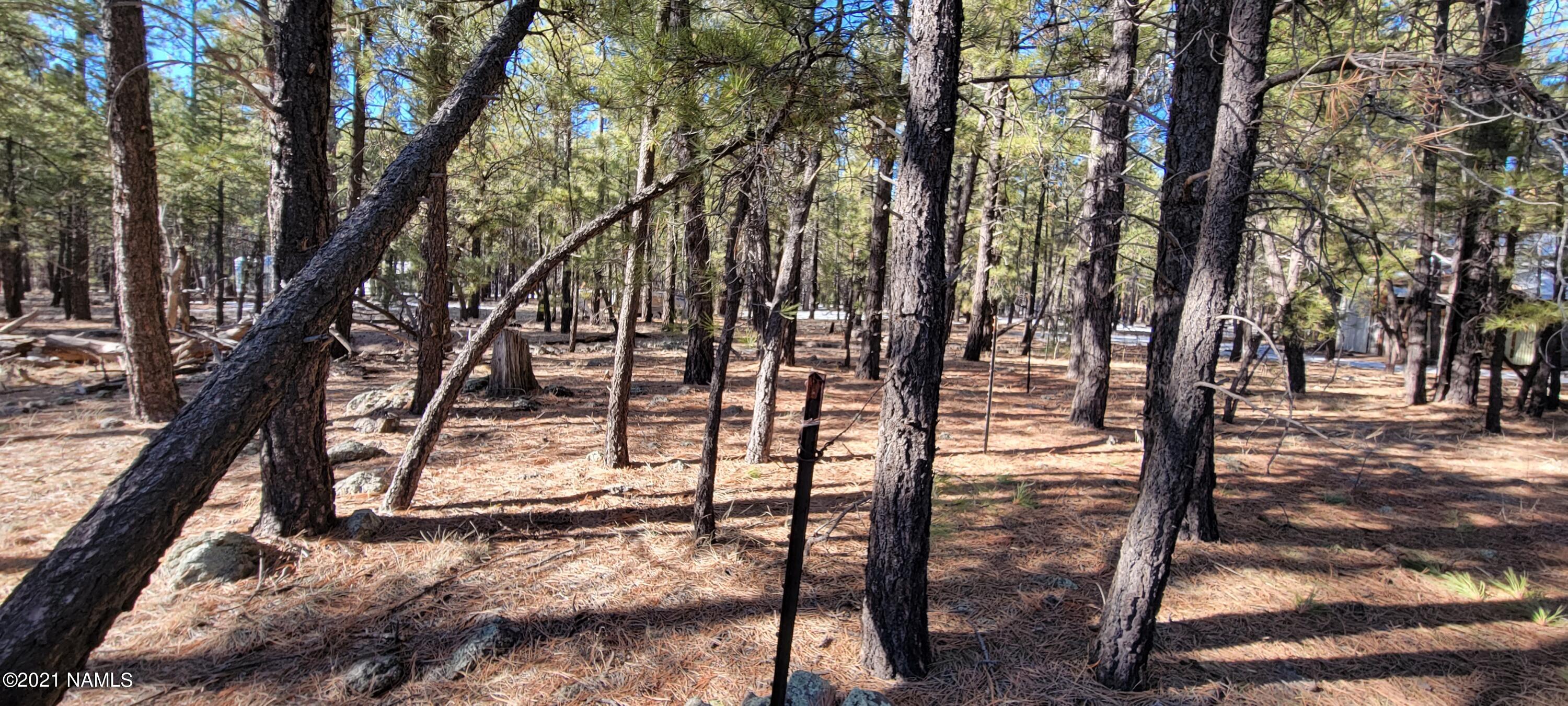 13682 East Old Rte 66 Parks, AZ 86018 - Photo 10 of 16 20210226_154804