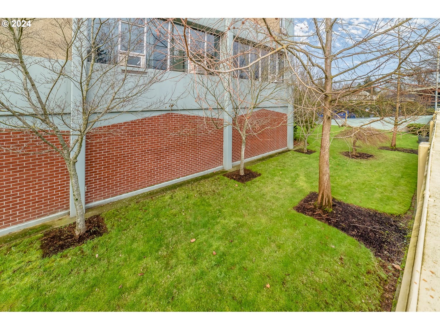 1313 Lincoln Street Eugene, OR 97401 - Photo 2 of 24 a view of a backyard