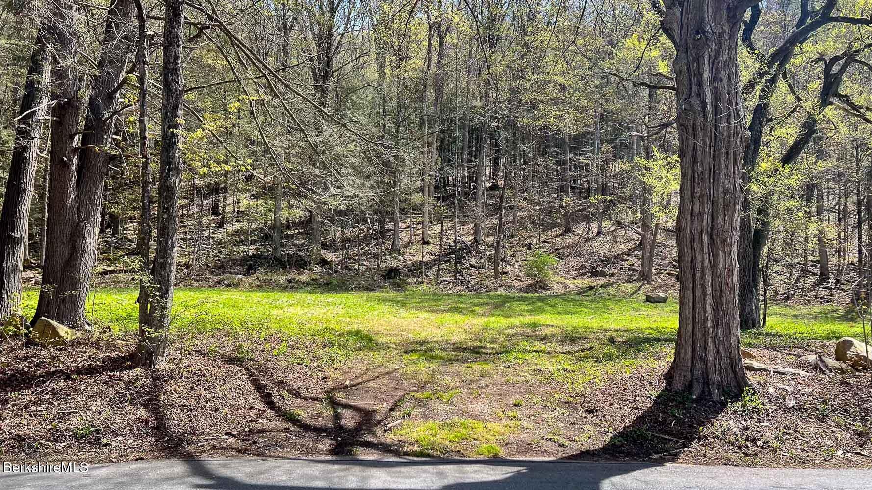 0 River Road Monterey, MA 01245 - Photo 5 of 14 0 River Rd-4