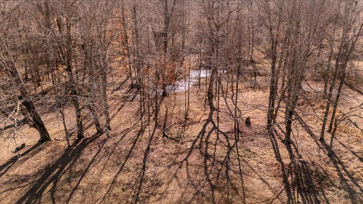 0 Dunn Leoma Road Leoma, TN 38468 - Photo 13 of 28