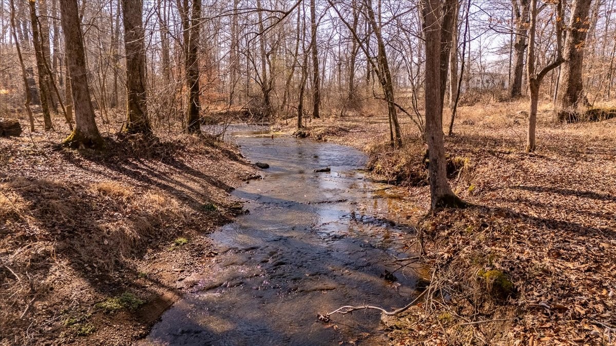 0 Dunn Leoma Road Leoma, TN 38468 - Photo 7 of 28
