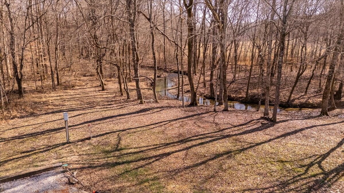 0 Dunn Leoma Road Leoma, TN 38468 - Photo 10 of 28