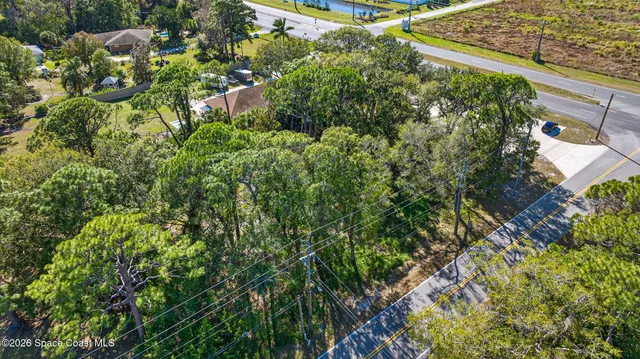 a view of a road with plants and large trees